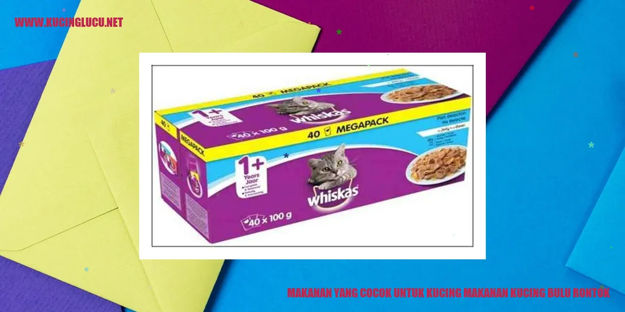 Makanan yang Cocok untuk Kucing