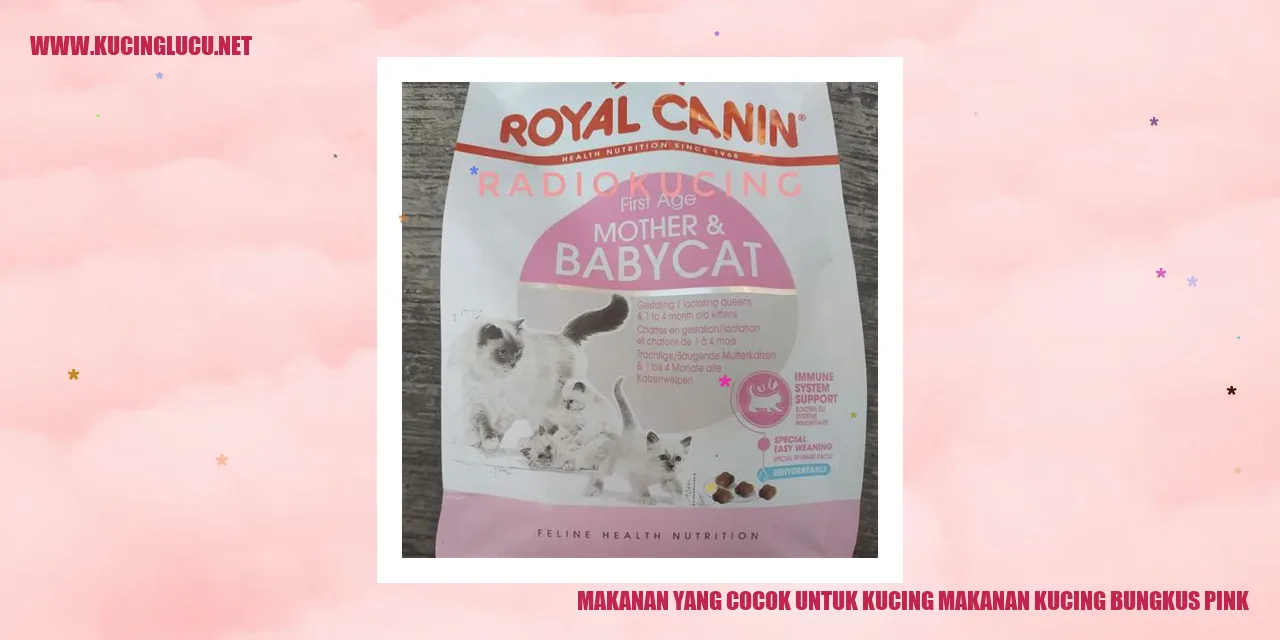 Makanan yang Cocok untuk Kucing