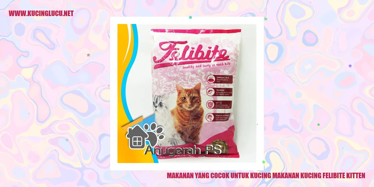 Makanan untuk kucing