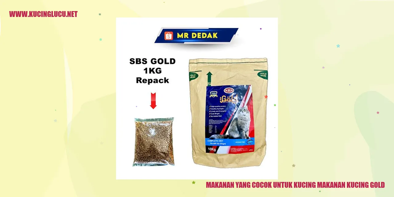 Makanan yang Cocok untuk Kucing Gold