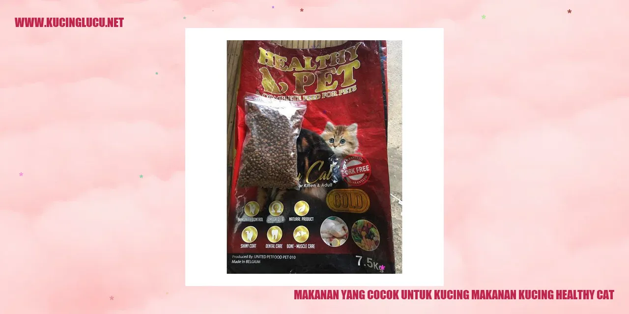 Makanan yang Cocok untuk Kucing