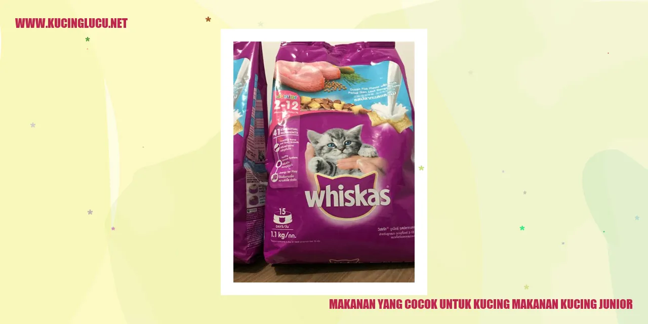Gambar Makanan Kucing Junior