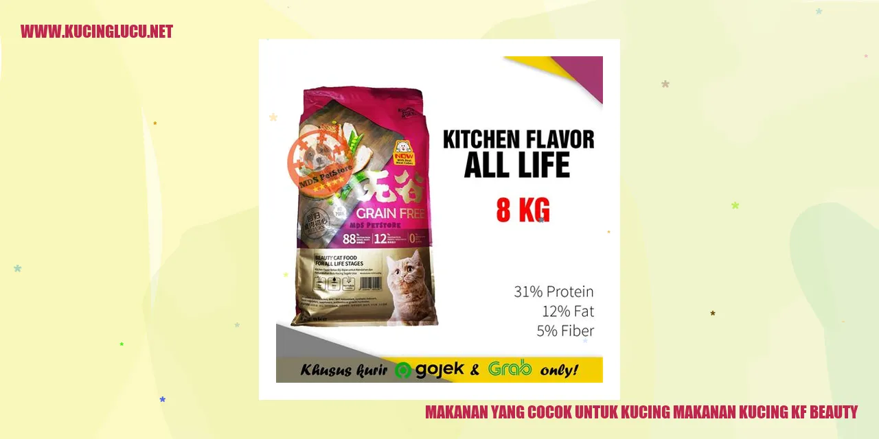 gambar kucing sedang makan