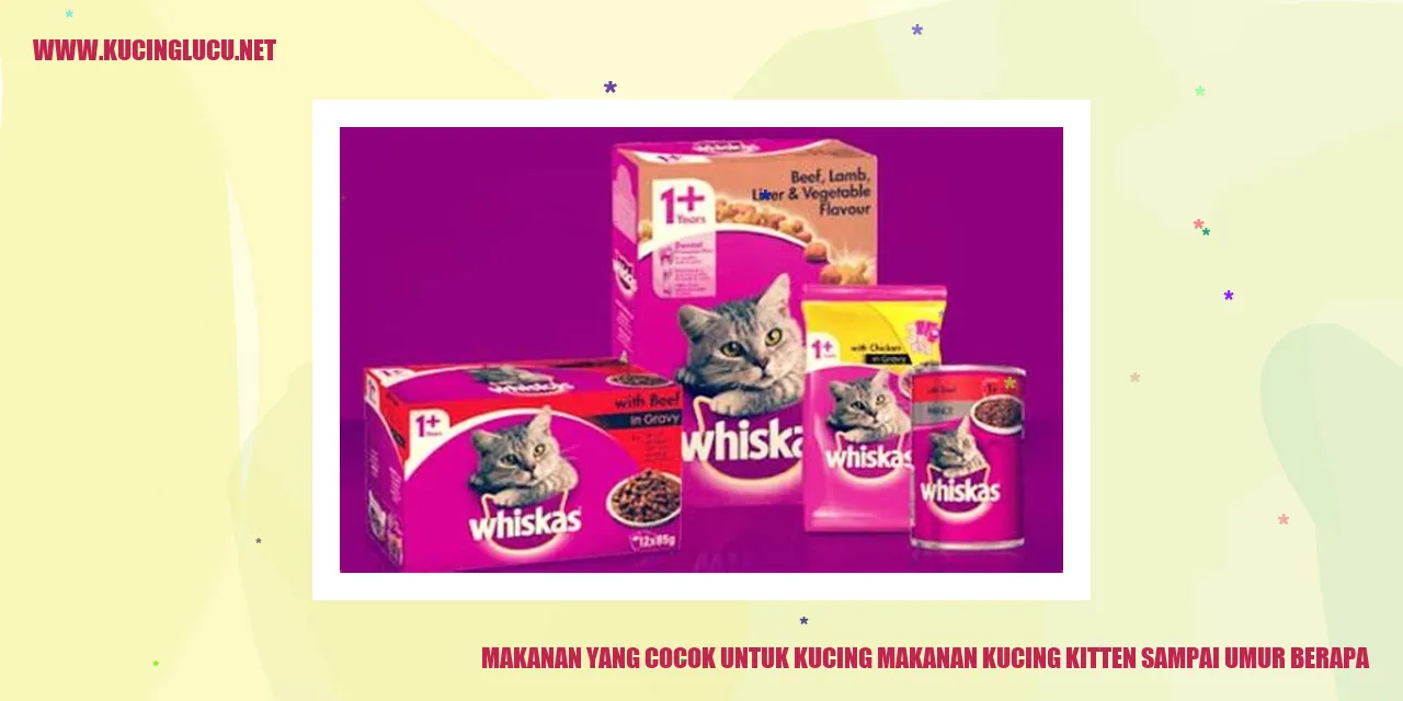 Gambar Kucing