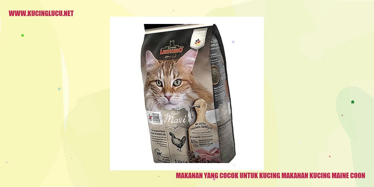 Makanan Kucing Maine Coon