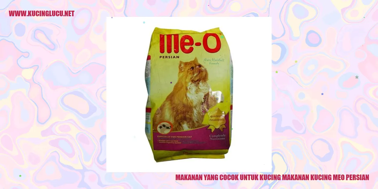 Makanan yang Cocok untuk Kucing Meo Persian
