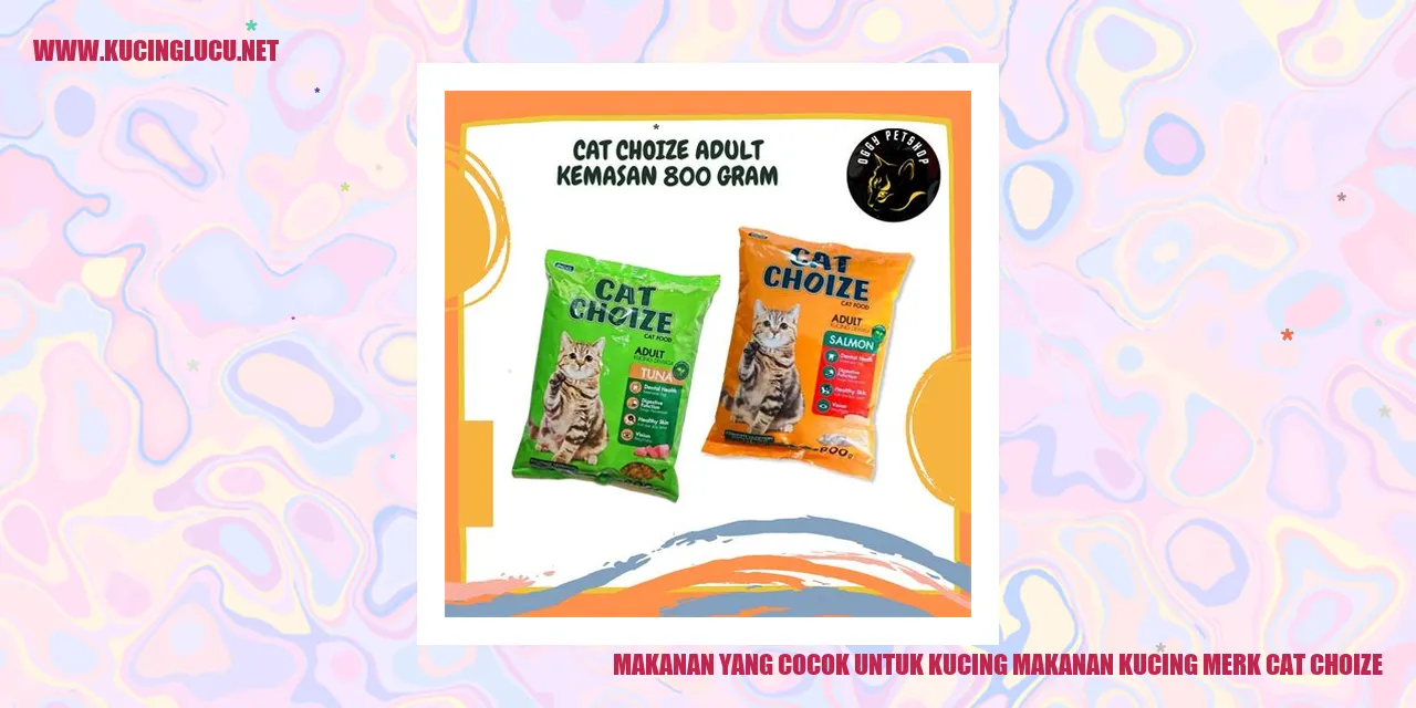 Makanan yang Cocok untuk Kucing
