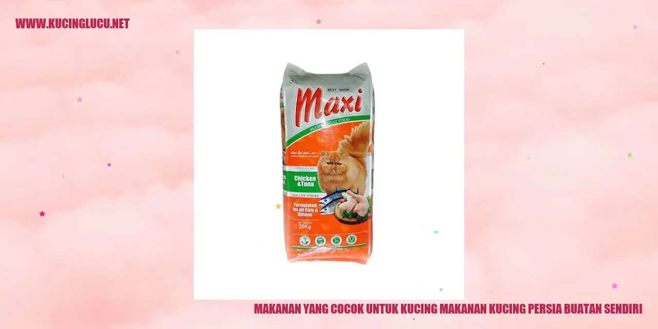 Makanan Kucing Persia Buatan Sendiri