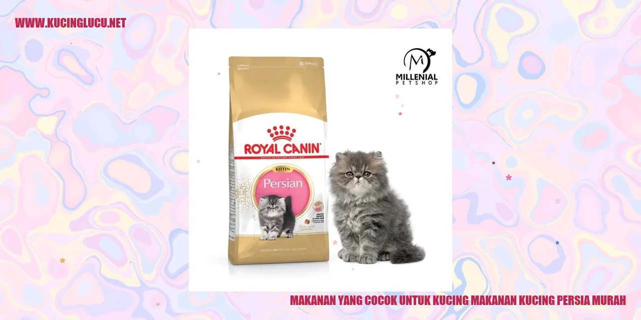 Makanan untuk Kucing Persia Murah