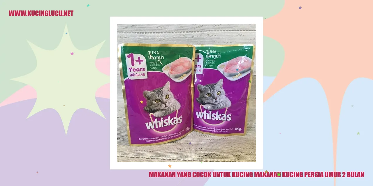 Kucing Persia