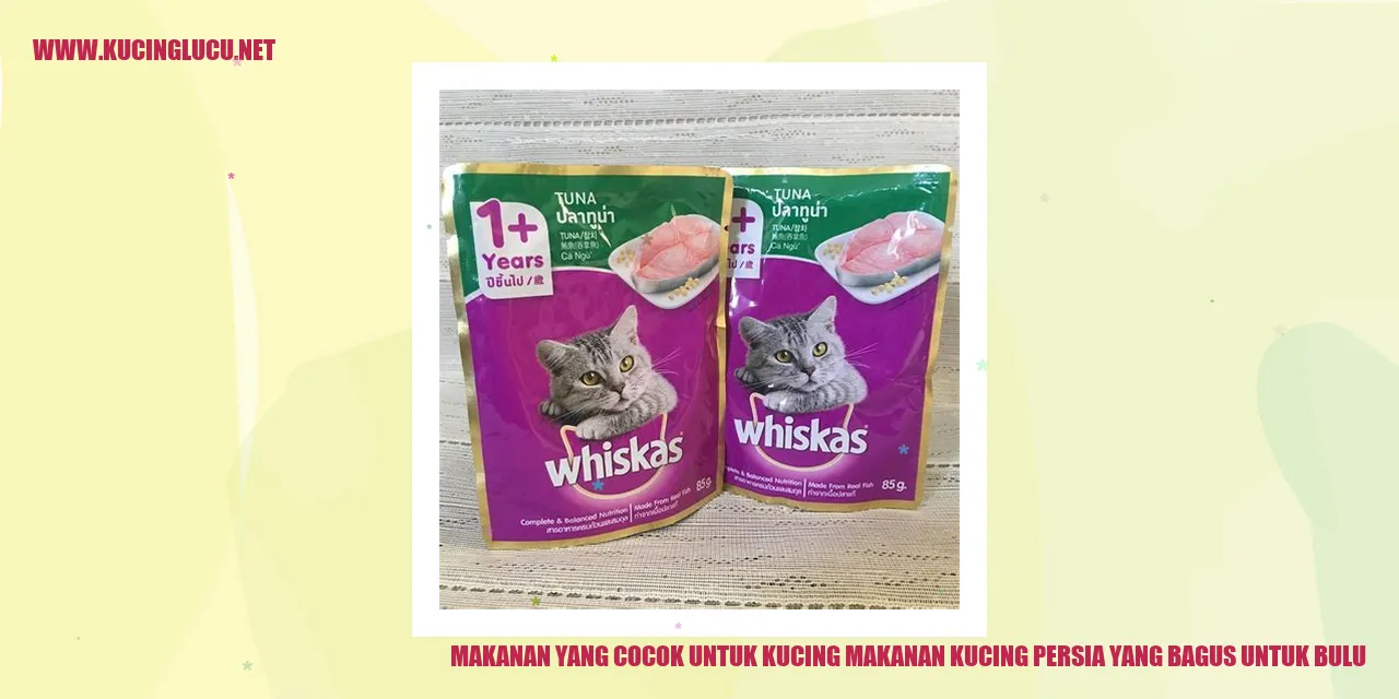Gambar Kucing Persia