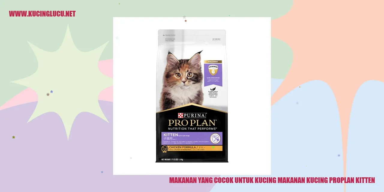 Makanan yang Cocok untuk Kucing