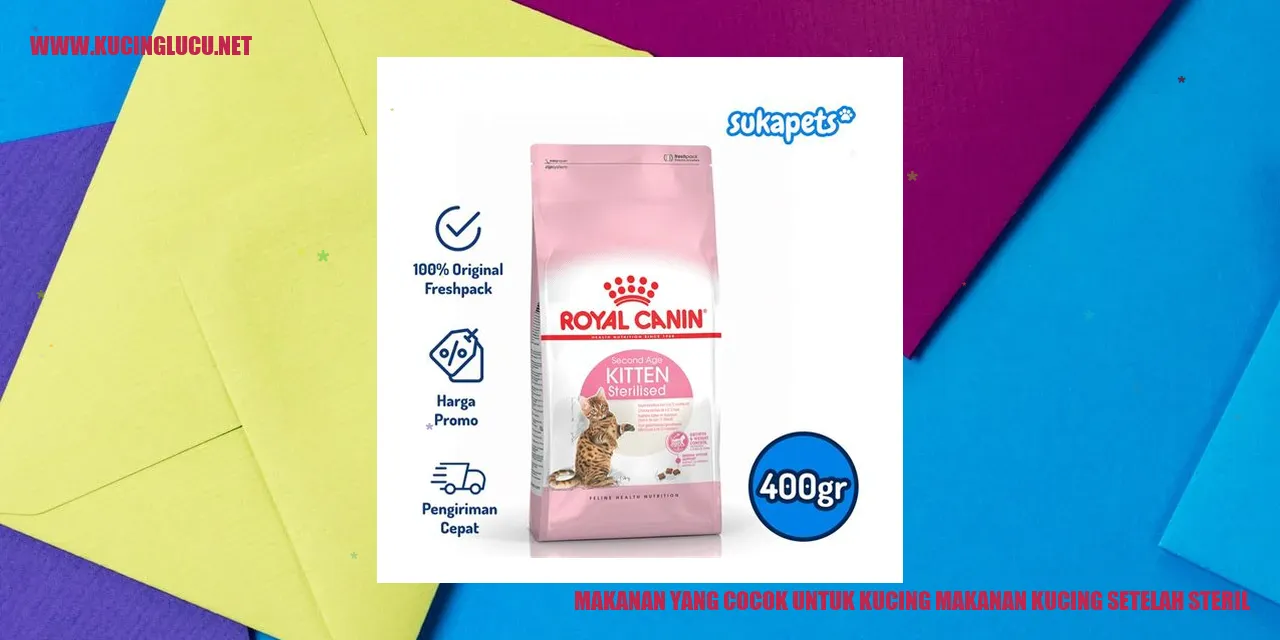 Makanan yang Cocok untuk Kucing Setelah Steril