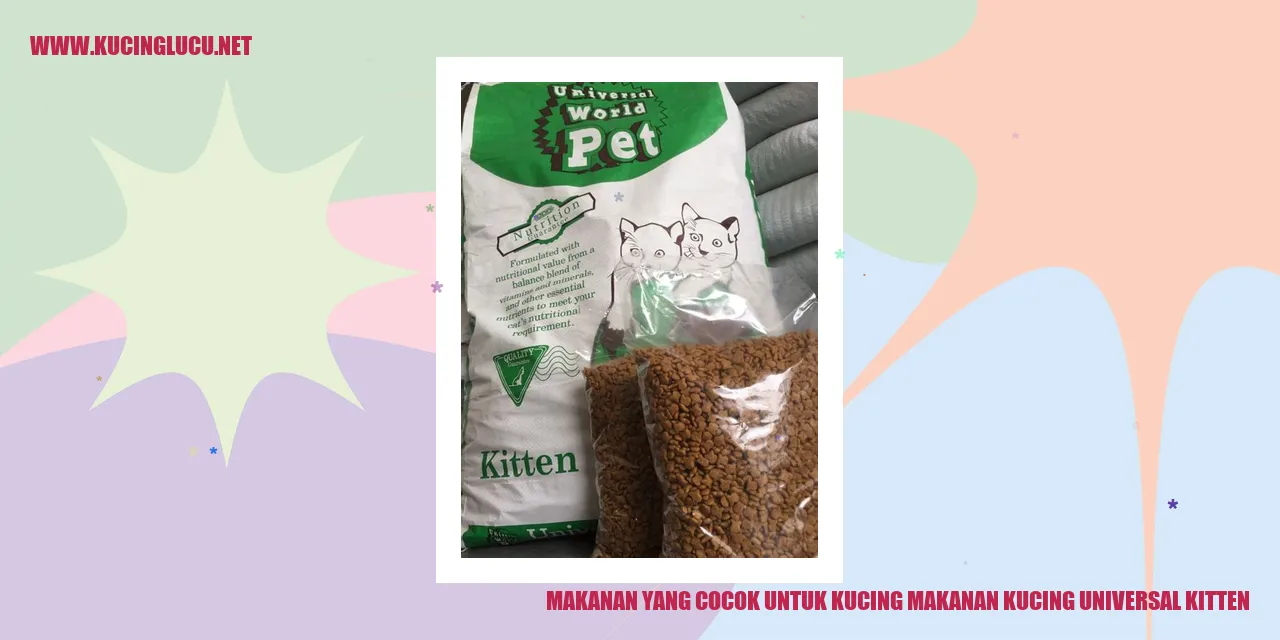Gambar kucing sedang menikmati makanan