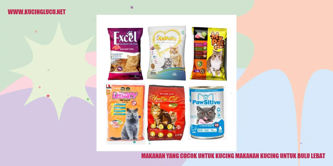 Kucing dengan bulu lebat