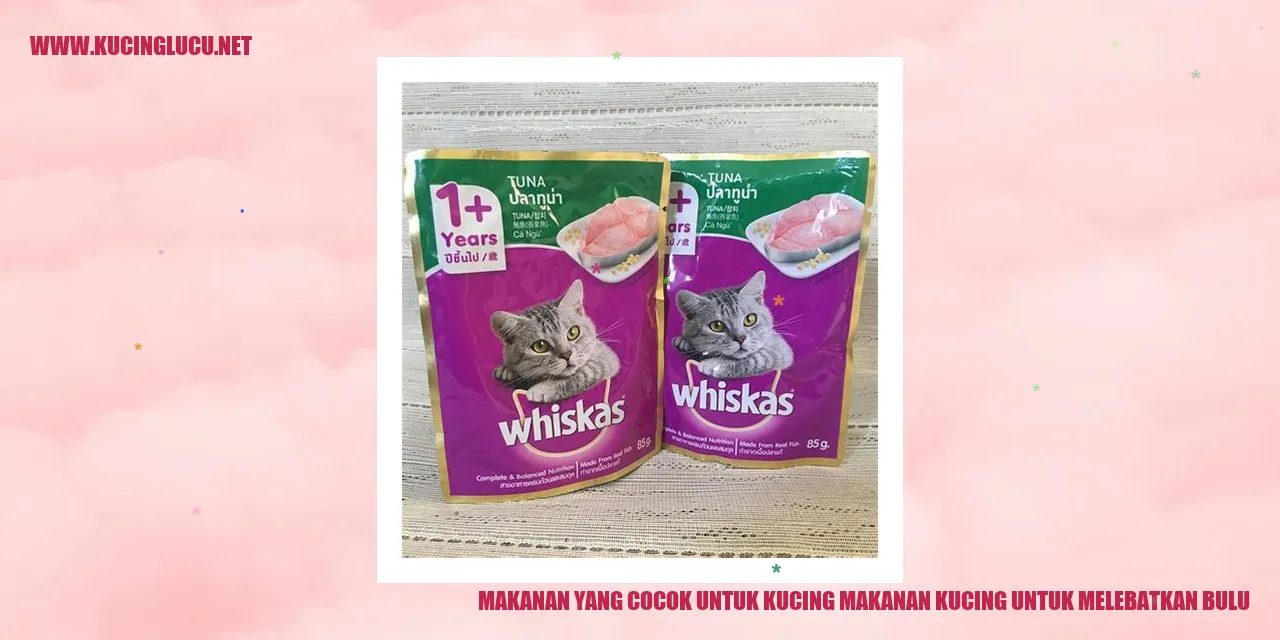 Makanan yang Cocok untuk Kucing Makanan Kucing untuk Melebatkan Bulu