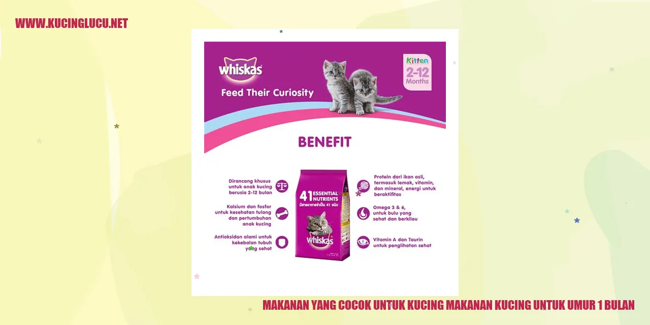 Gambar makanan kucing