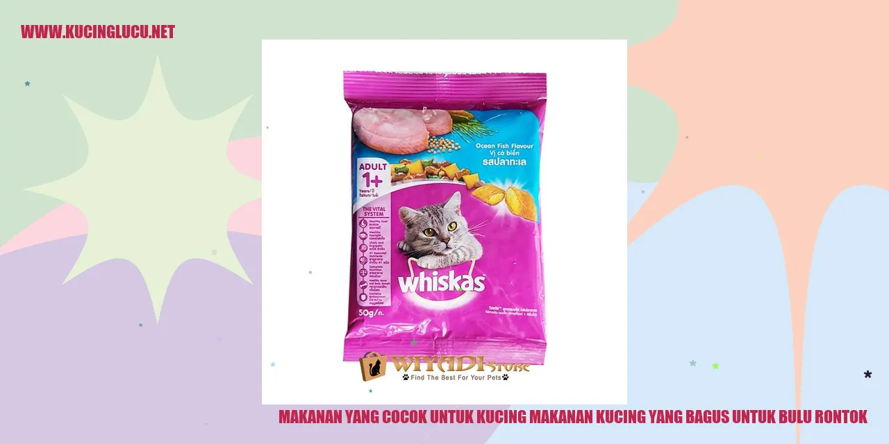 Kucing dengan bulu indah