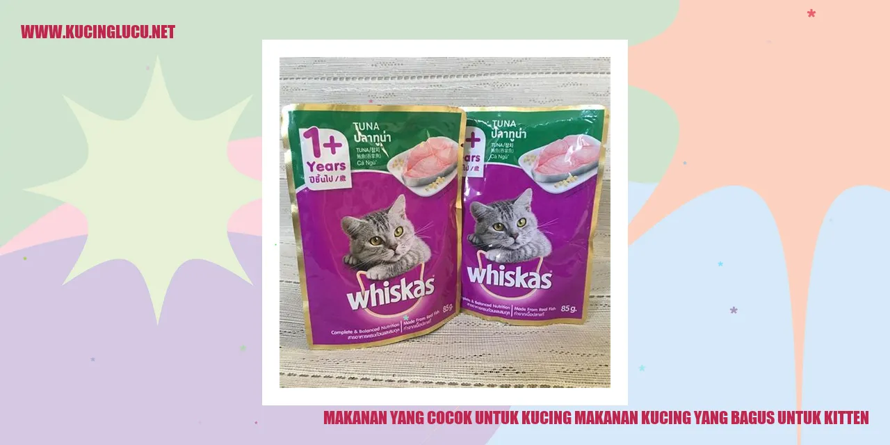 Kucing Kitten