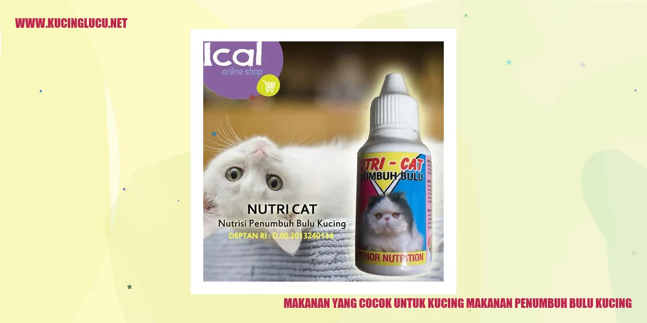 Kucing dengan bulu sehat