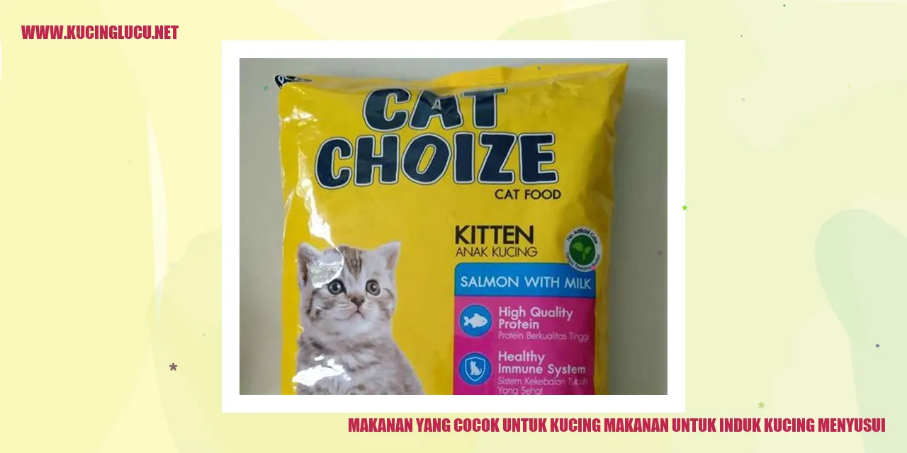 Makanan untuk Kucing Induk Menyusui