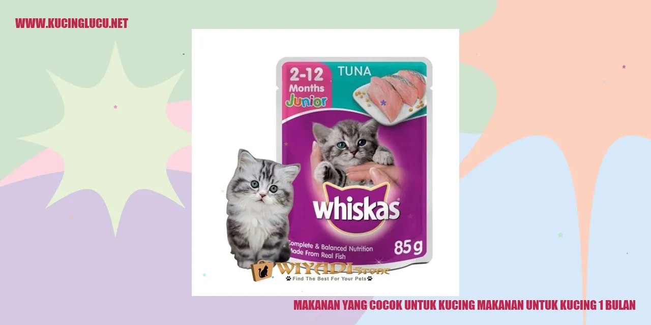 Gambar kucing yang sedang makan makanan bergizi
