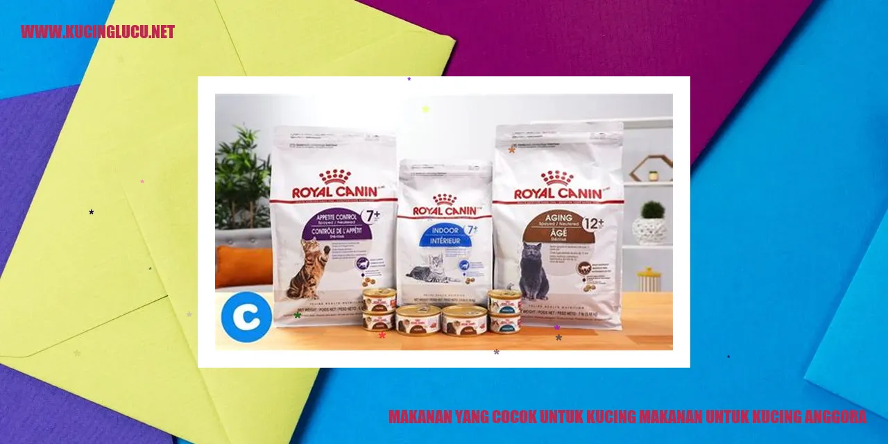 Makanan yang Cocok untuk Kucing Anggora
