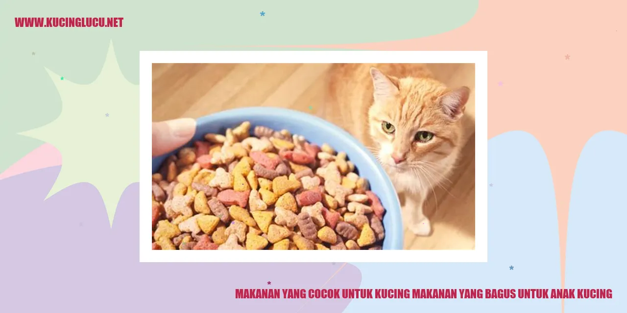 Kucing memakan makanan yang sehat