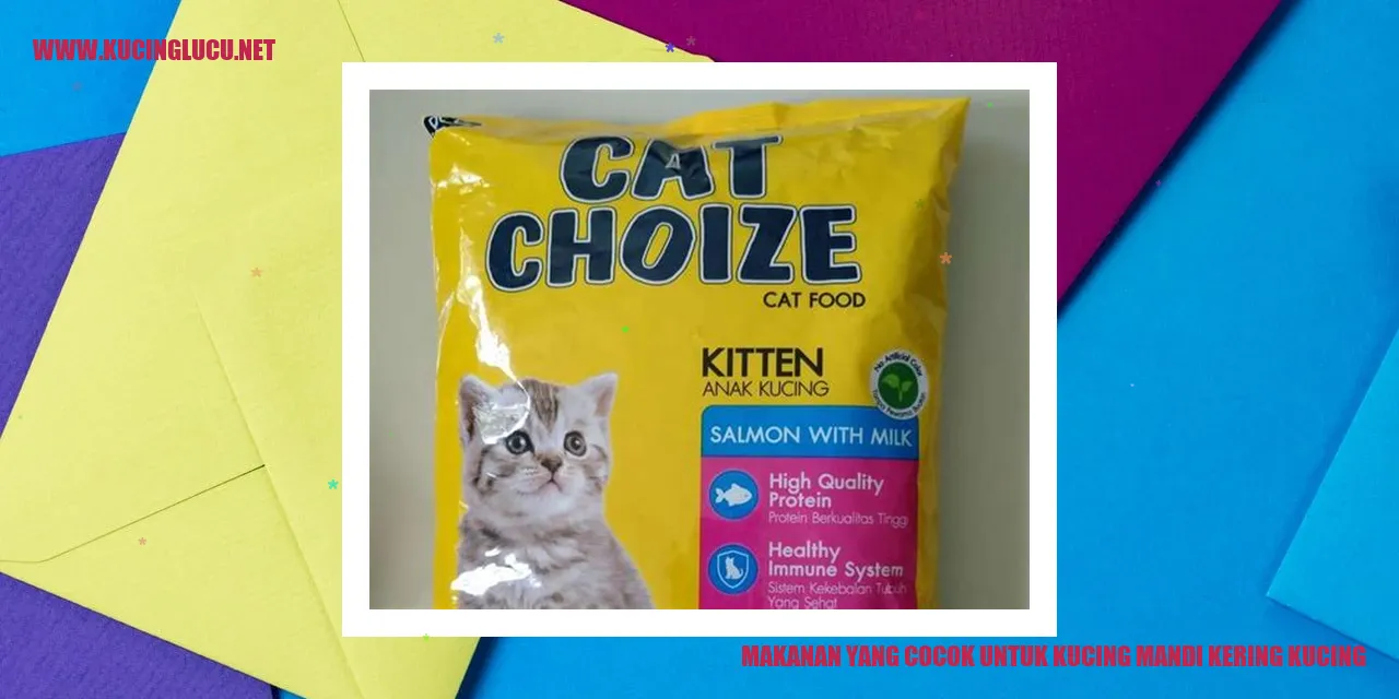 Makanan yang Cocok untuk Kucing Mandi Kering Kucing