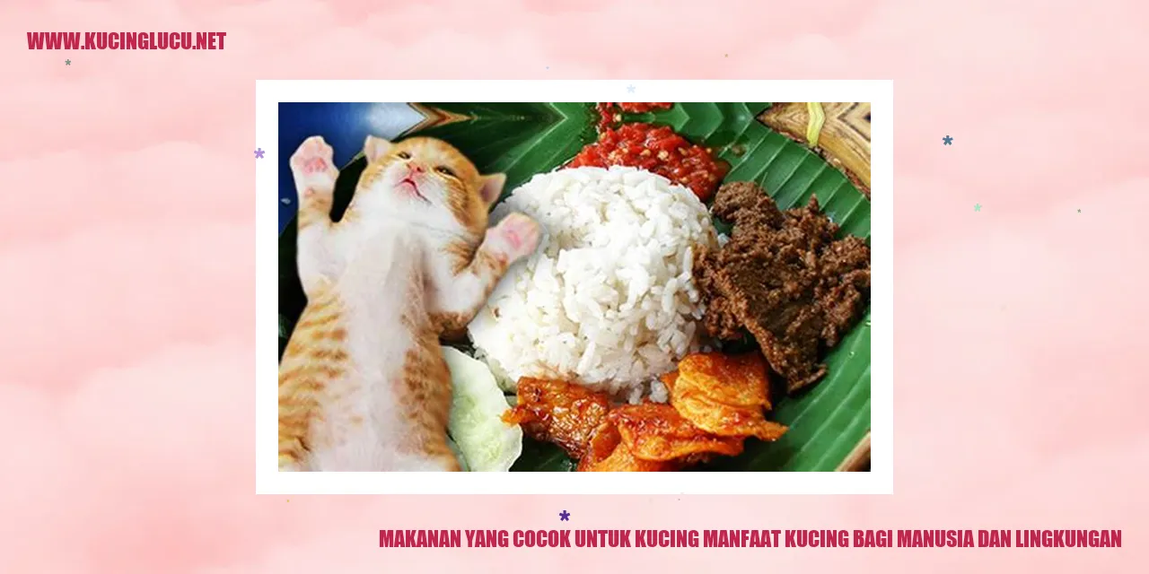 gambar kucing