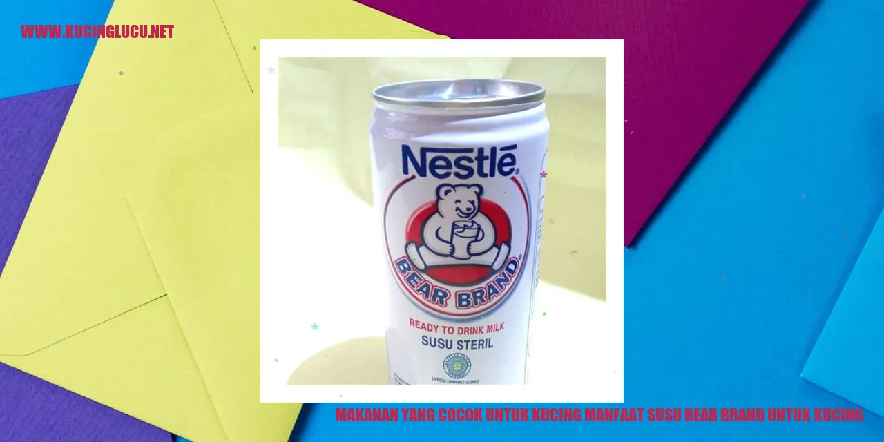 Susu Bear Brand untuk Kucing