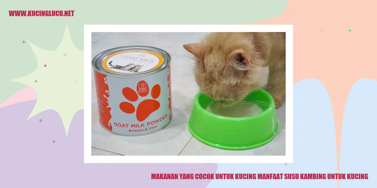 Gambar Kucing yang Minum Susu Kambing