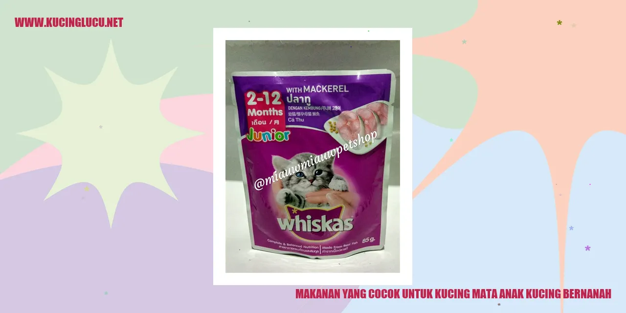 Kucing mata anak kucing bernanah