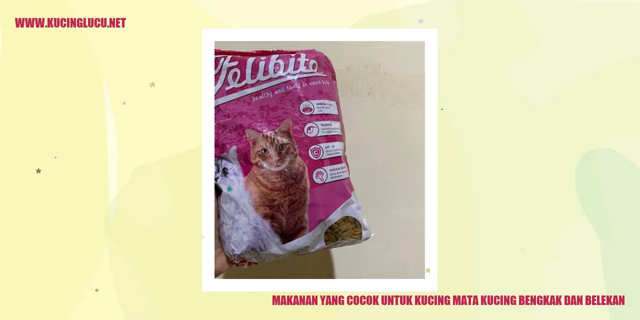 gambar kucing yang mengilustrasikan artikel