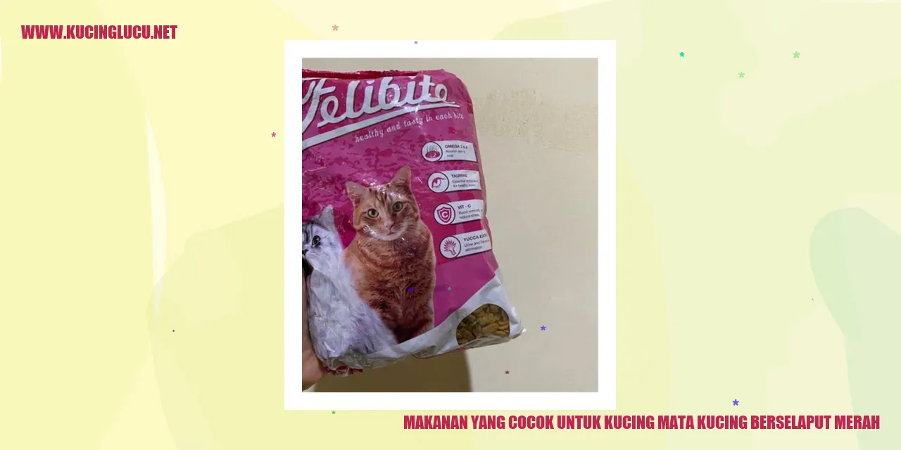 Makanan yang Cocok untuk Kucing mata kucing berselaput merah
