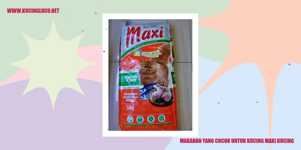 Makanan yang Cocok untuk Kucing Maxi Kucing