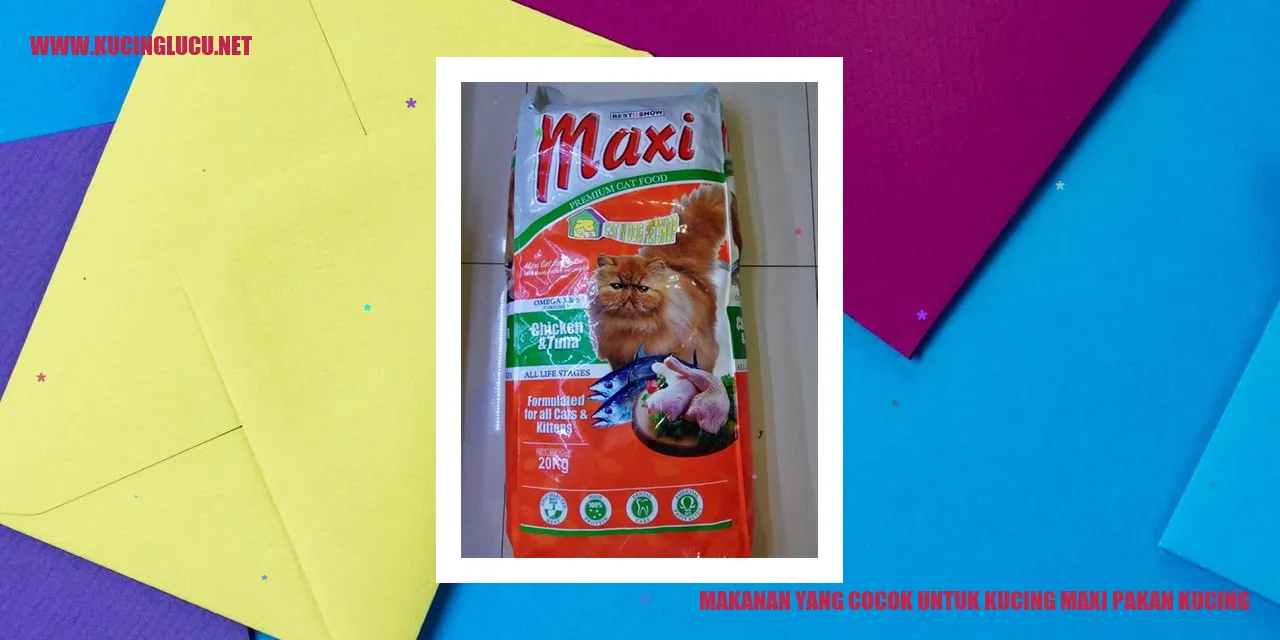 Kucing Sedang Makan
