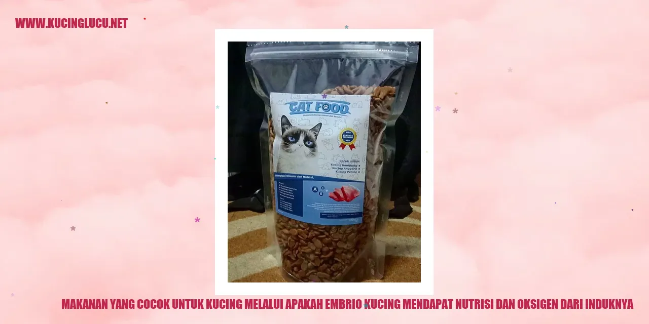 Kucing dengan makanannya