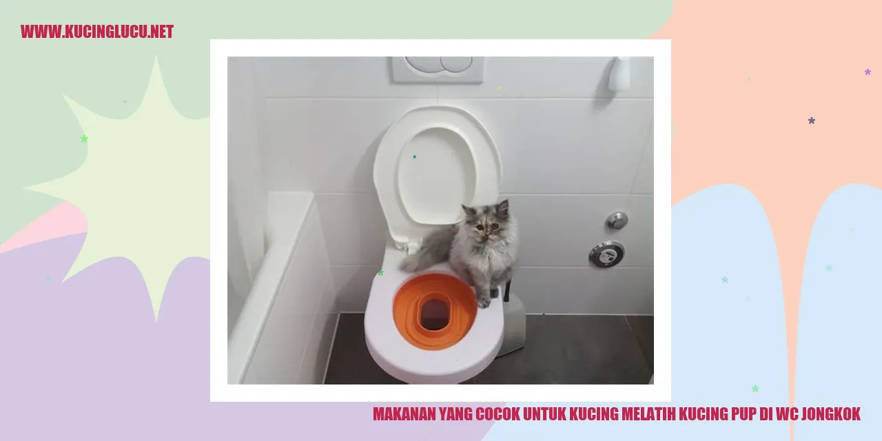 Kucing di WC Jongkok