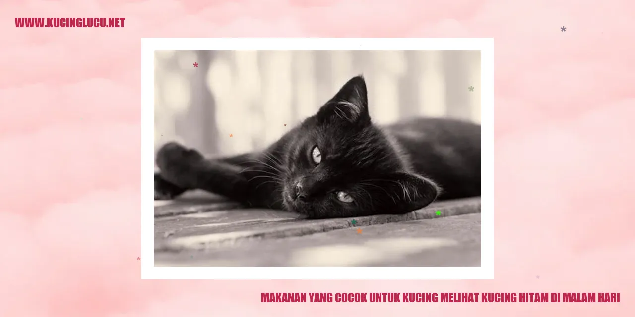Makanan Kucing