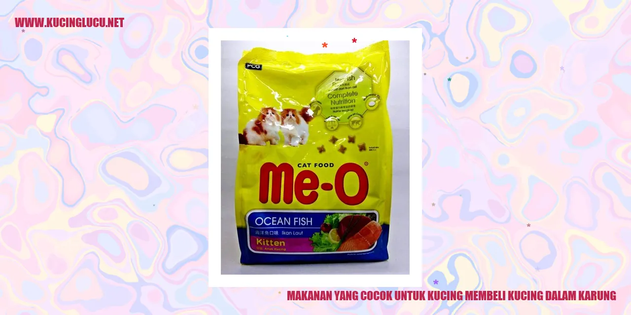 Makanan yang Cocok untuk Kucing membeli kucing dalam karung