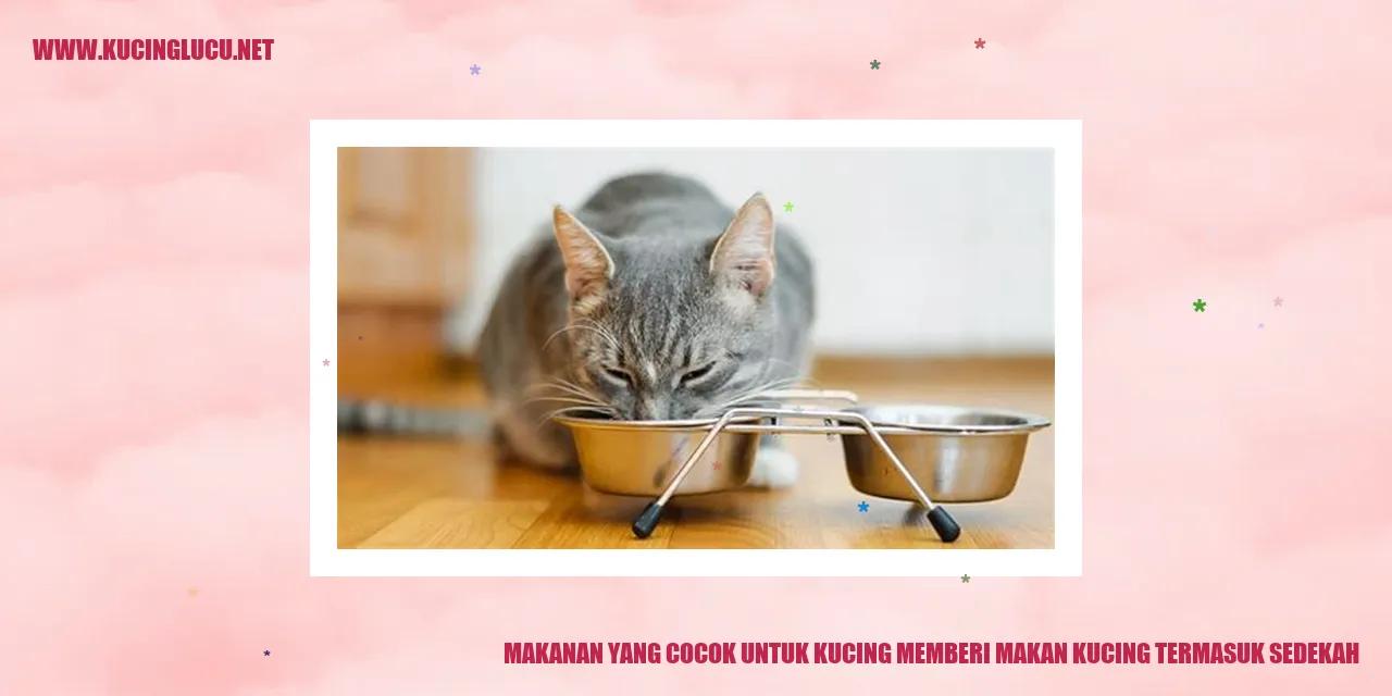 Makanan Kucing