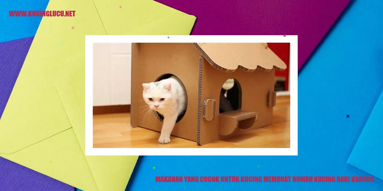 Makanan yang Cocok untuk Kucing membuat rumah kucing dari kardus