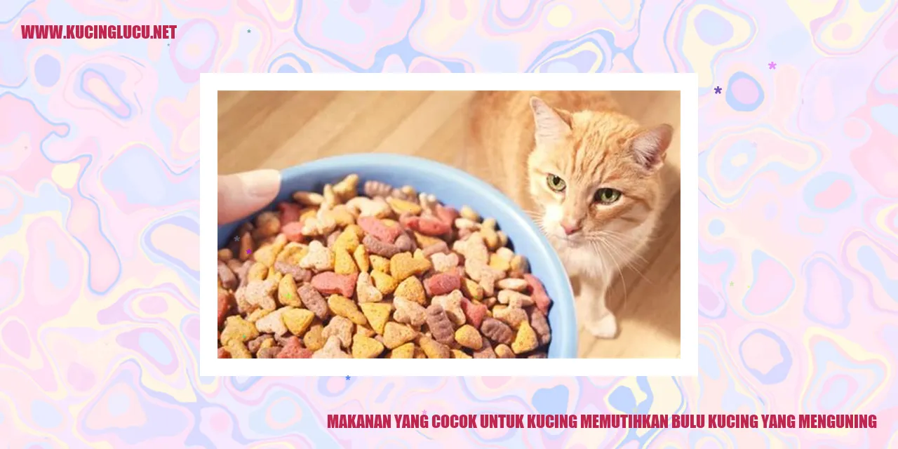 Makanan yang Cocok untuk Kucing memutihkan bulu kucing yang menguning
