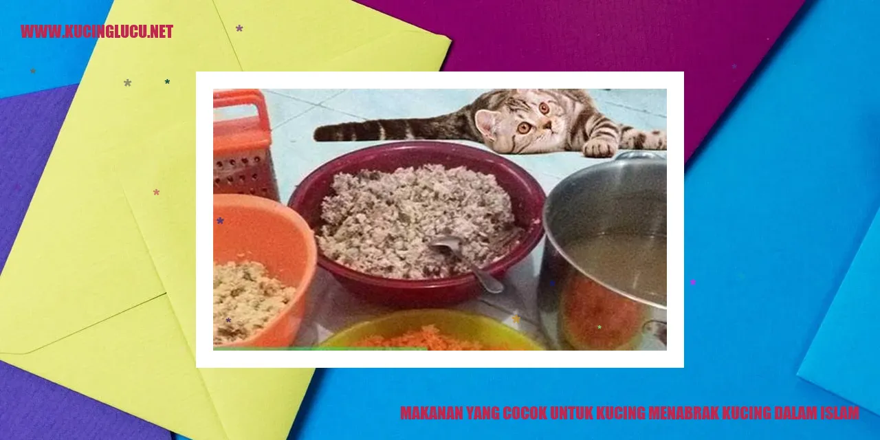 Makanan yang Cocok untuk Kucing Menurut Islam