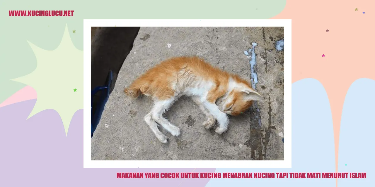 Gambar Kucing