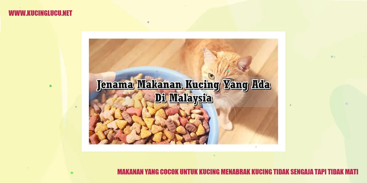 Gambar Kucing