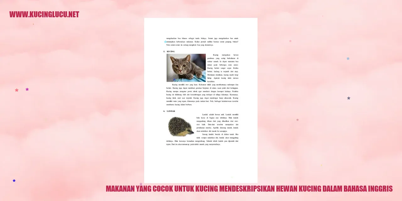 Gambar Kucing