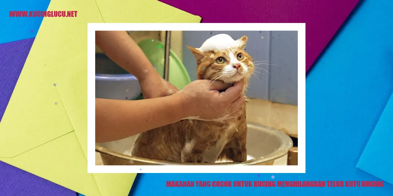 Makanan yang cocok untuk kucing
