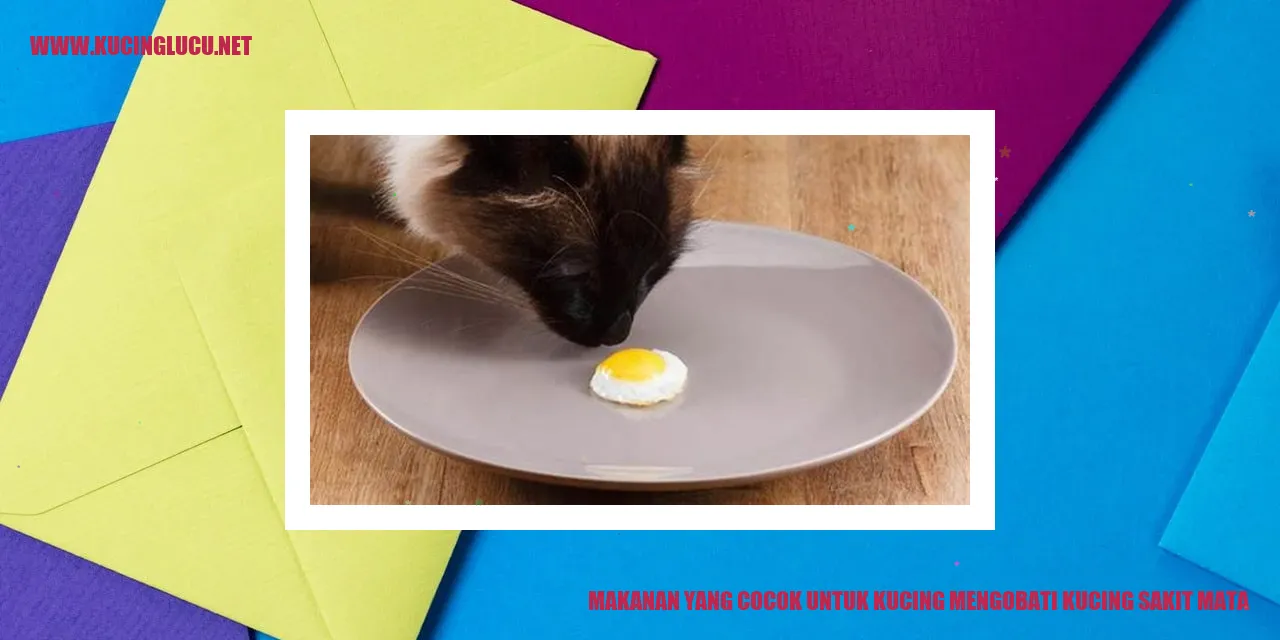 Kucing Sakit Mata